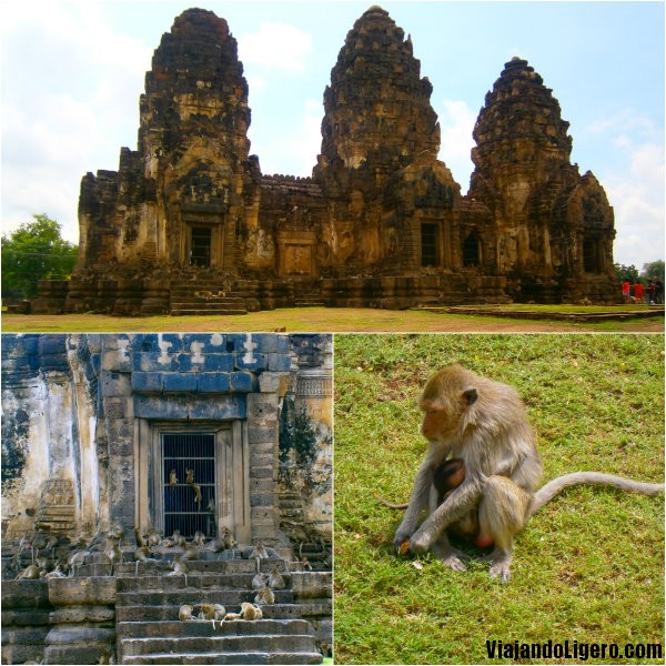 Monkey temple