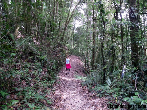 Camino Monte Kinabalu